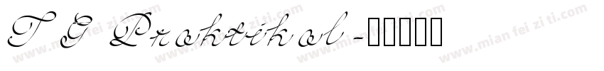 TG Praktikal字体转换
